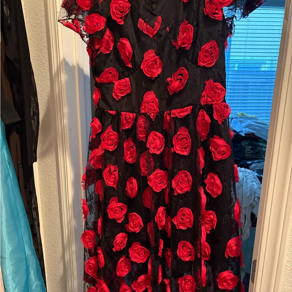 Elegant Black and Red Rose Dress
